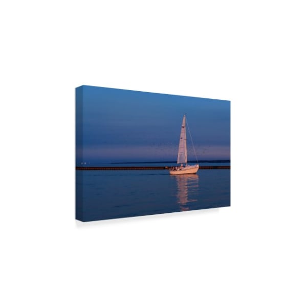 Anthony Paladino 'Sailboat And Seagulls At Dusk' Canvas Art,30x47